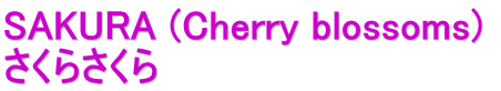 SAKURA (Cherry blossoms)  さくらさくら